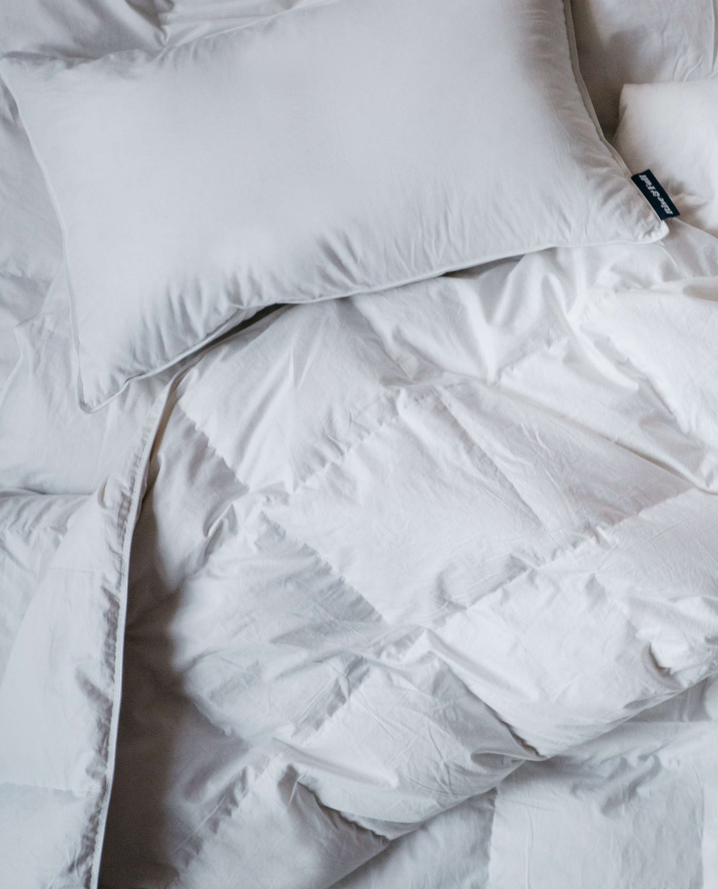 The Recycled Down Pillow