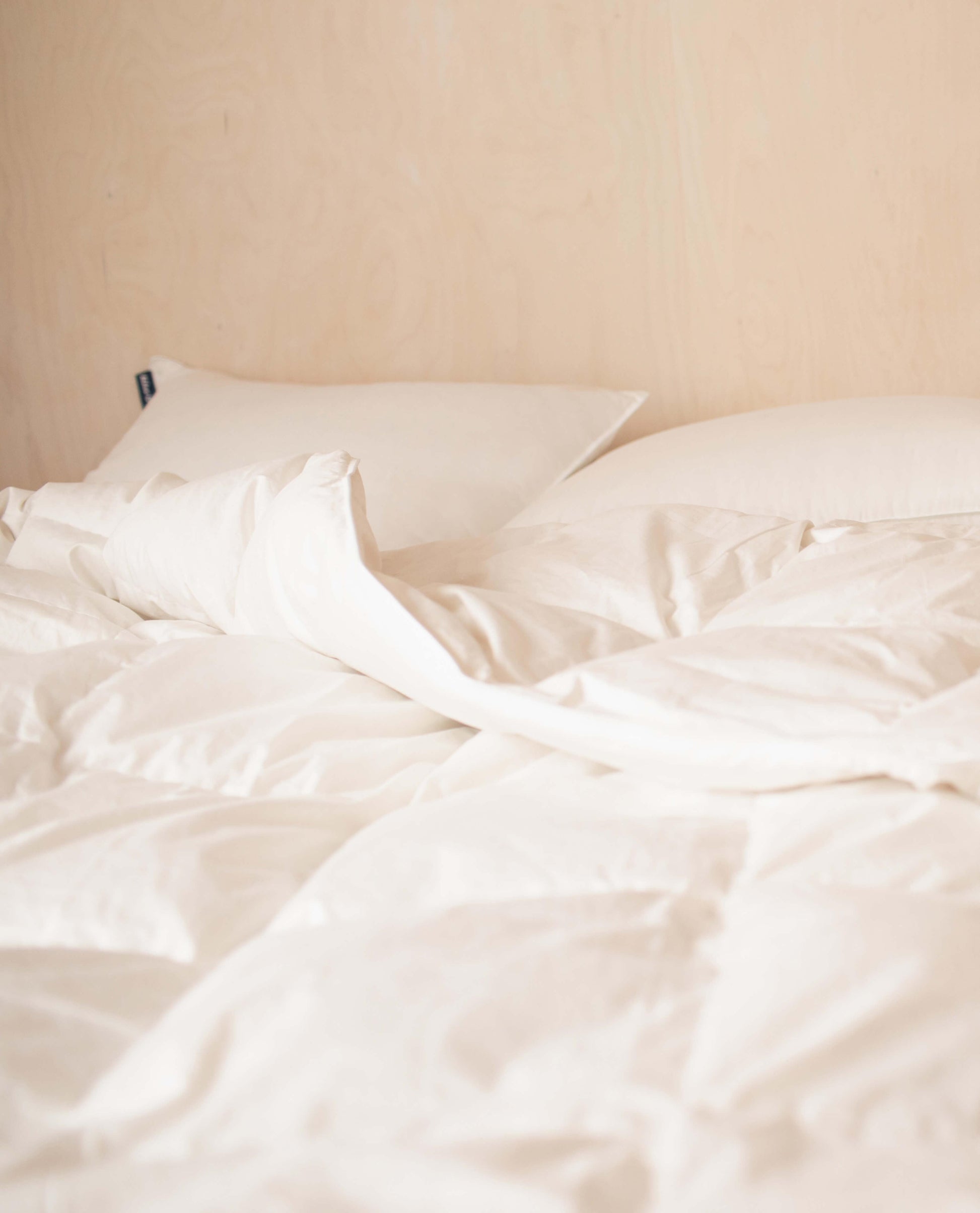 The Recycled Down Pillow