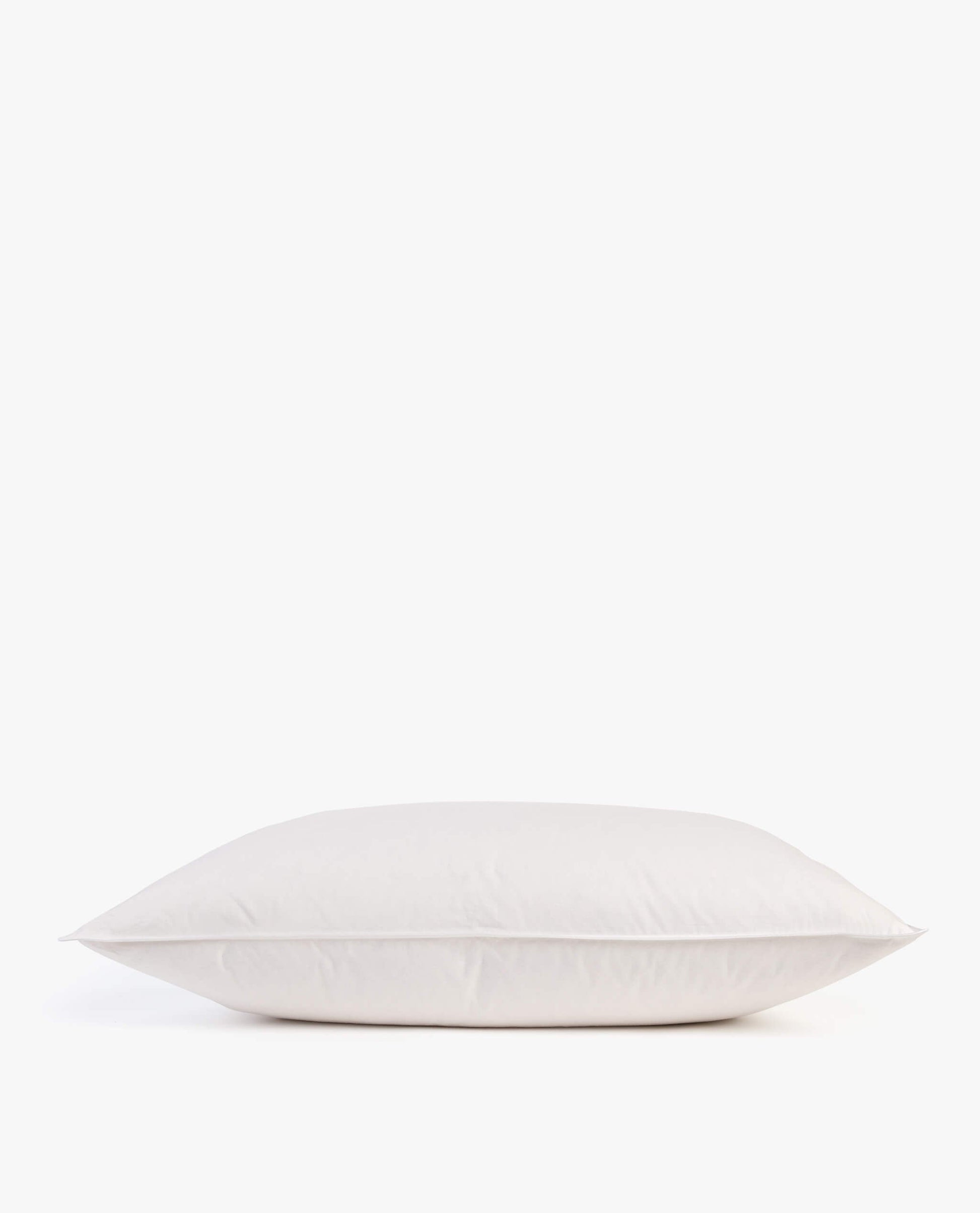 The Recycled Down Pillow