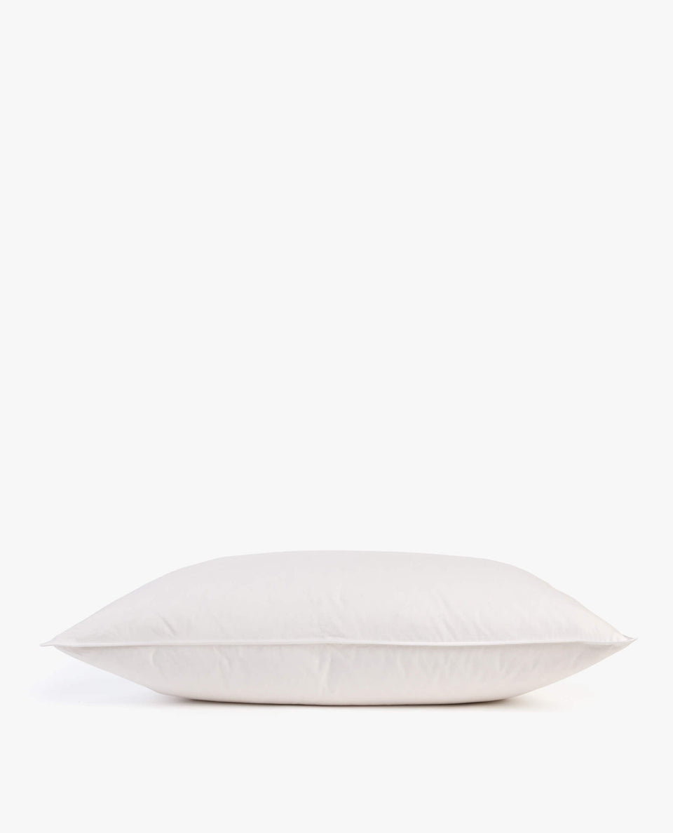The Recycled Down Pillow