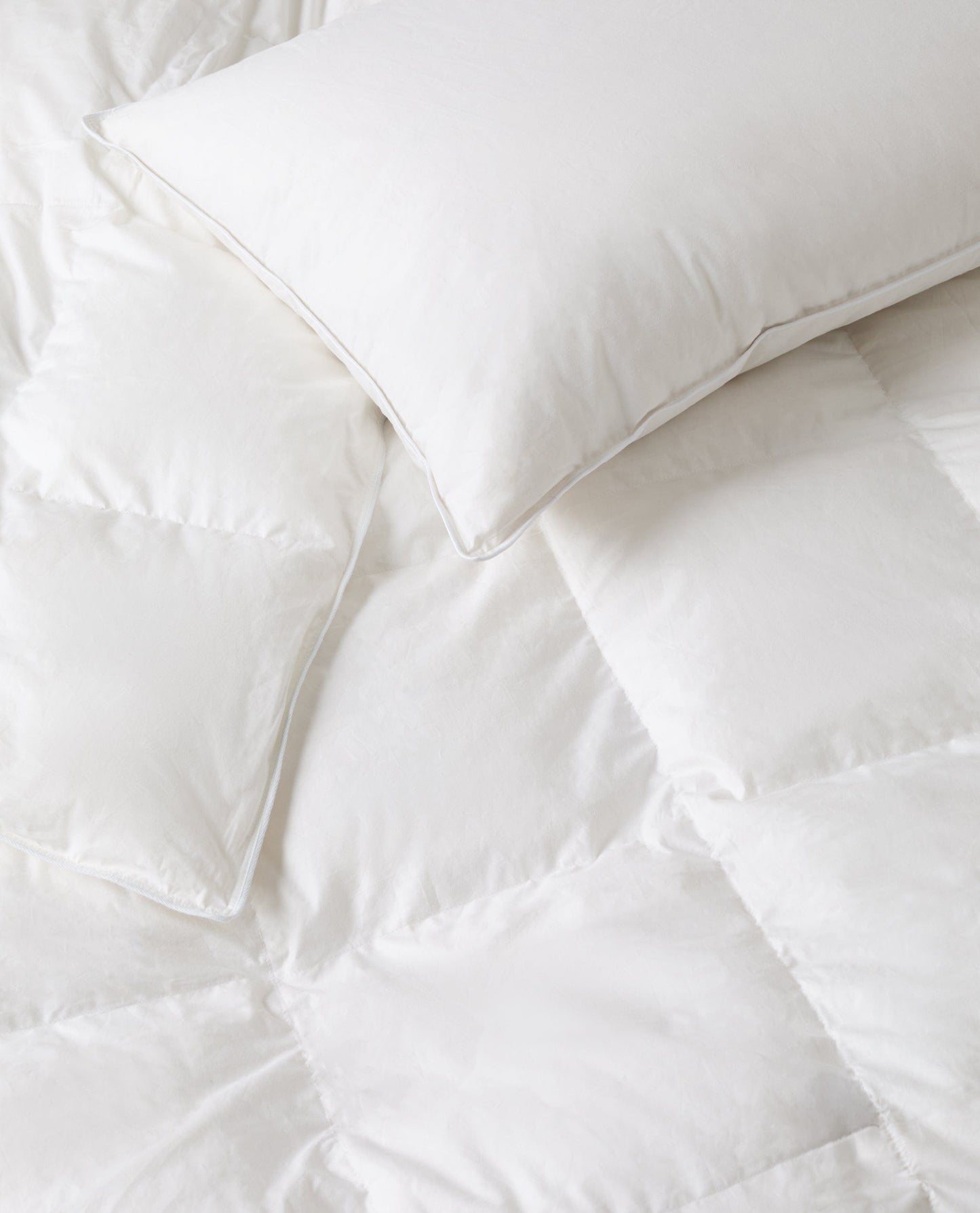 The Recycled Down Pillow