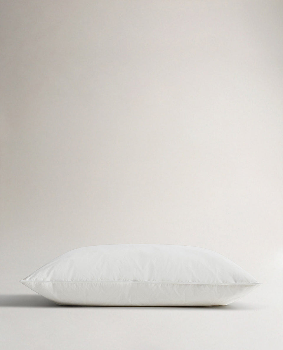 The Recycled Down Pillow
