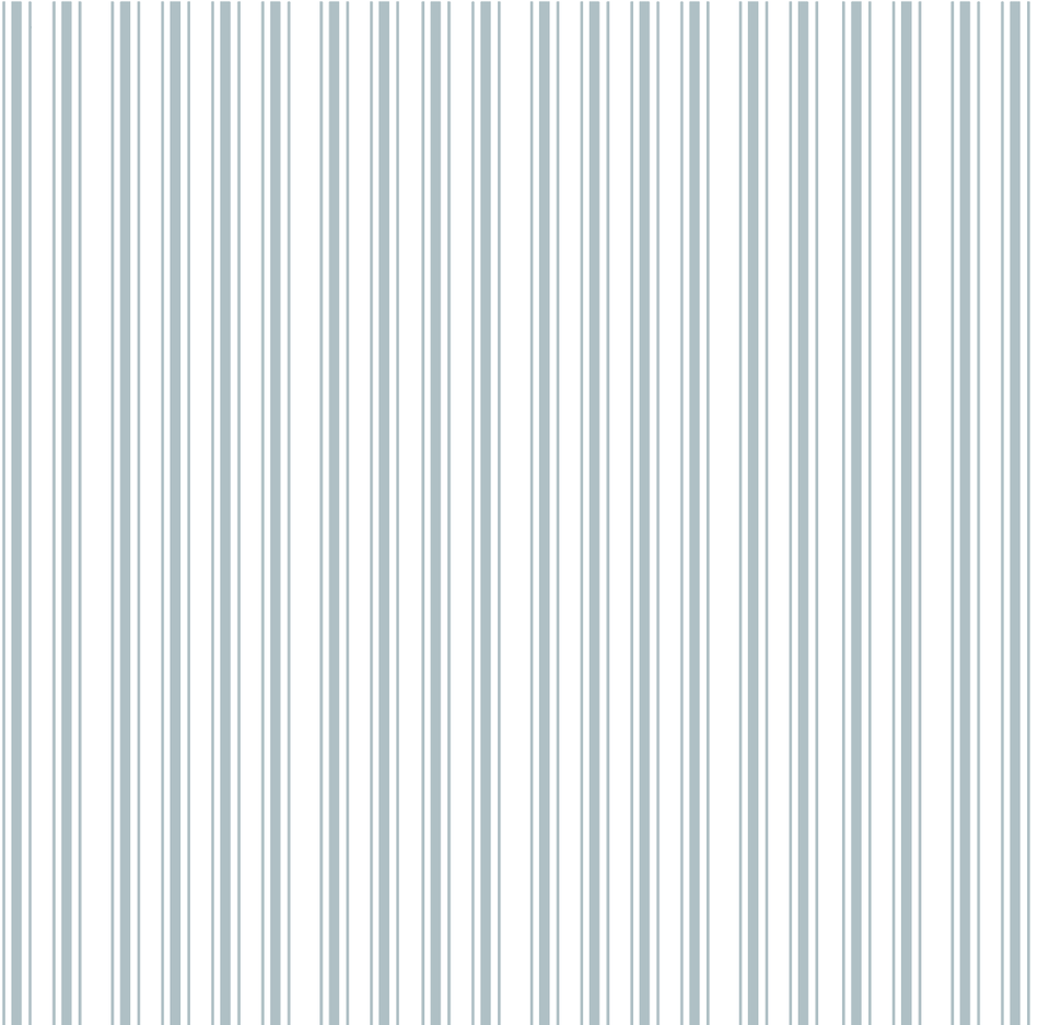 swatch_Blue Ticking Stripe