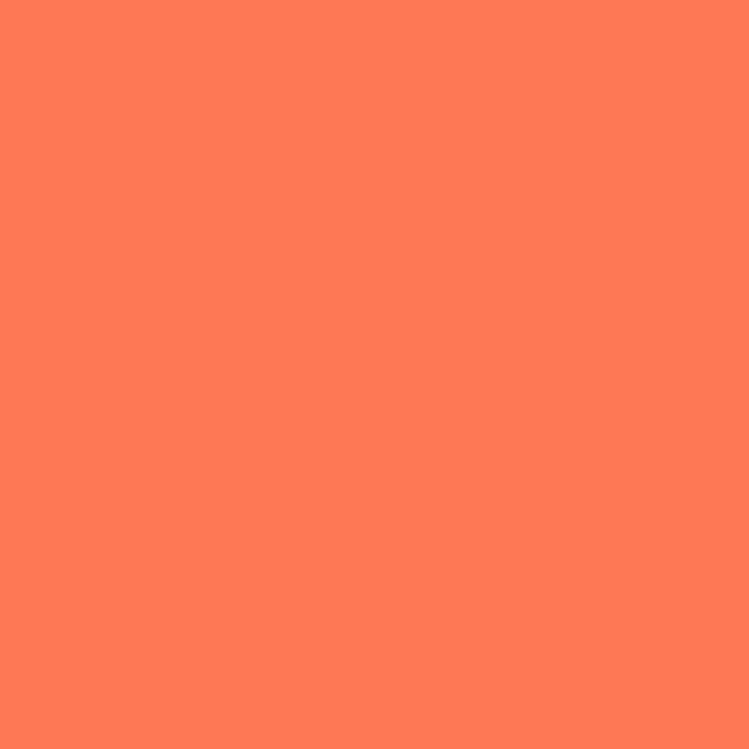 swatch_Spicy Orange